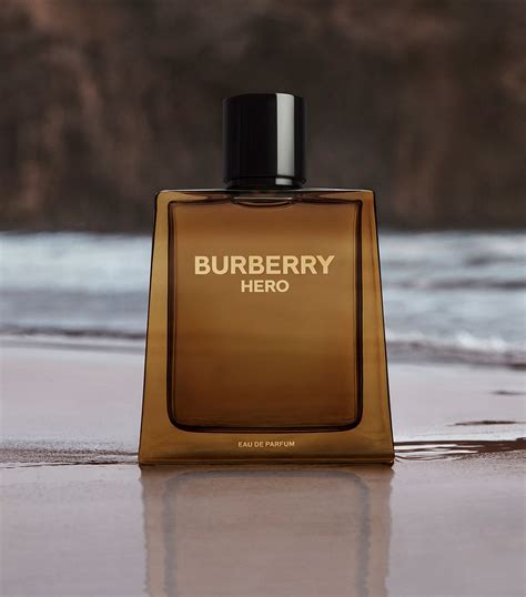 burbrry|burberry hero.